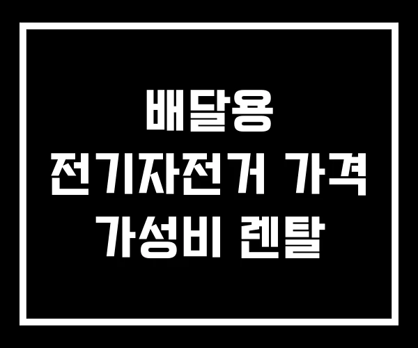 배달용 전기자전거 가격 가성비 렌탈 배달용 전기자전거 가격 가성비 렌탈