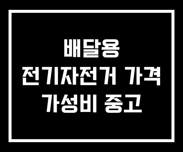 배달용 전기자전거 가격 가성비 중고 배달용 전기자전거 가격 가성비 중고