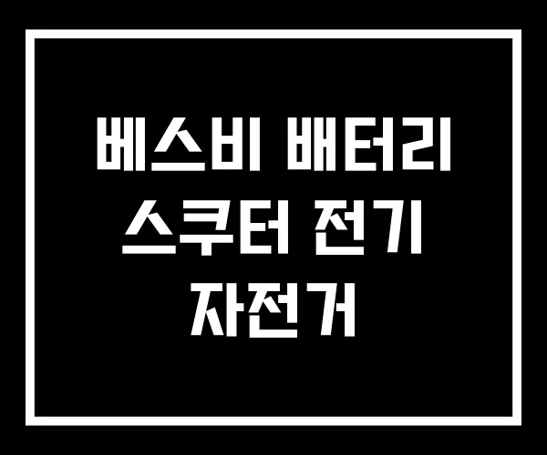 베스비 배터리 스쿠터 전기 자전거