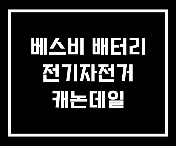 베스비 배터리 전기자전거 캐논데일