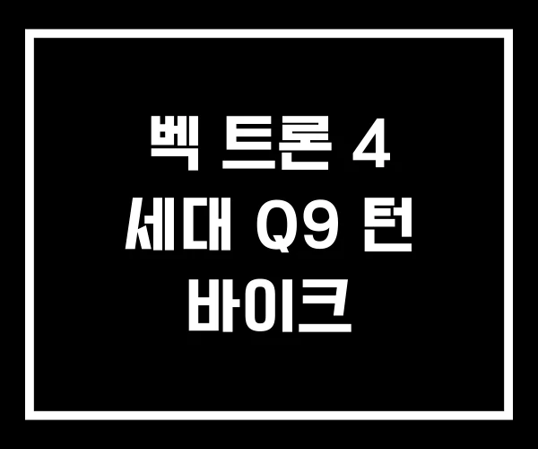 벡 트론 4 세대 Q9 턴 바이크 벡 트론 4 세대 Q9 턴 바이크