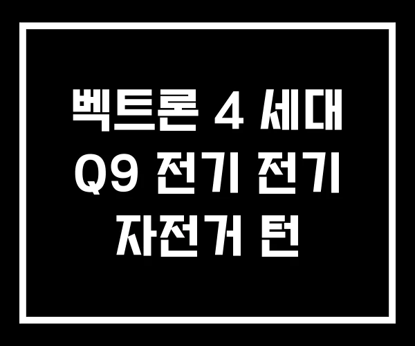 벡트론 4 세대 Q9 전기 전기 자전거 턴