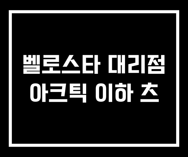 벨로스타 대리점 아크틱 이하 츠