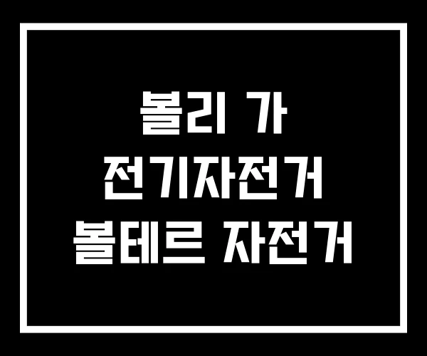 볼리 가 전기자전거 볼테르 자전거