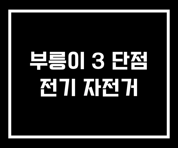 부릉이 3 단점 전기 자전거 부릉이 3 단점 전기 자전거