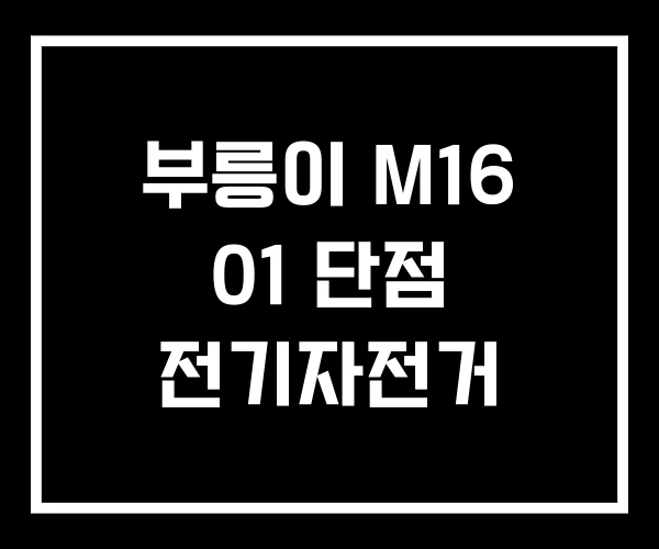 부릉이 M16 01 단점 전기자전거 부릉이 M16 01 단점 전기자전거