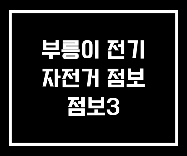 부릉이 전기 자전거 점보 점보3