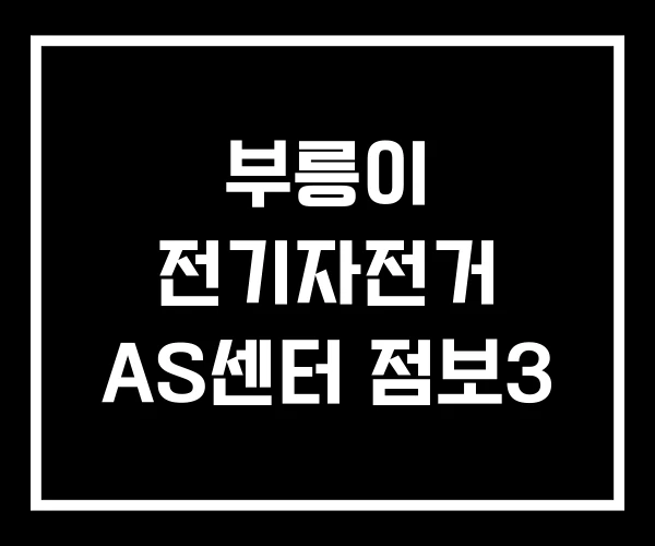 부릉이 전기자전거 AS센터 점보3