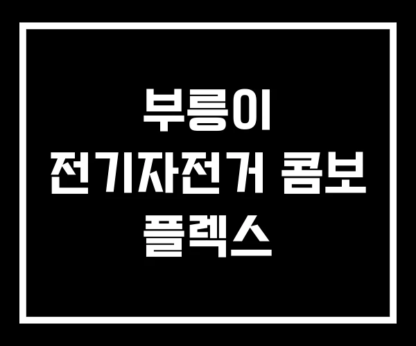 부릉이 전기자전거 콤보 플렉스 부릉이 전기자전거 콤보 플렉스