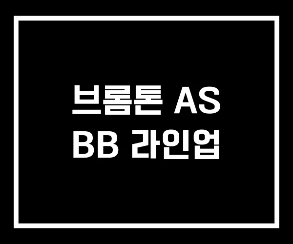 브롬톤 AS BB 라인업