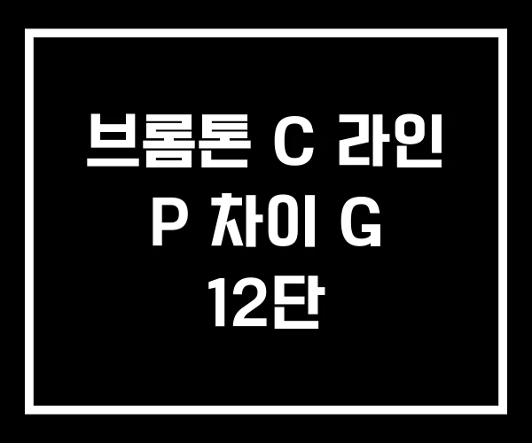 브롬톤 C 라인 P 차이 G 12단