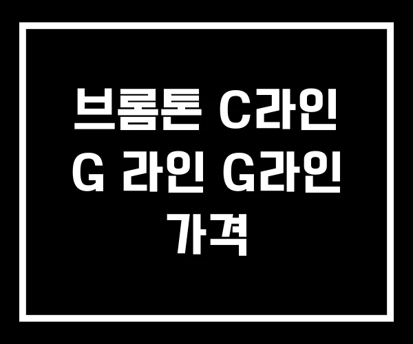 브롬톤 C라인 G 라인 G라인 가격