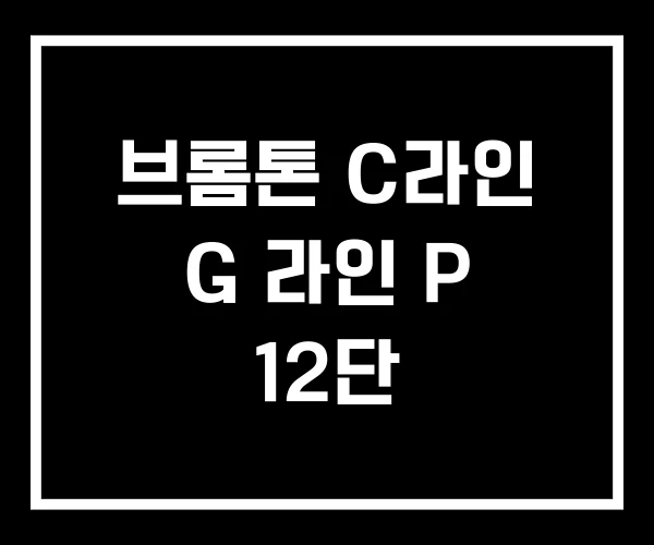 브롬톤 C라인 G 라인 P 12단