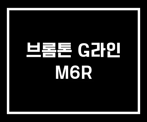 브롬톤 G라인 M6R