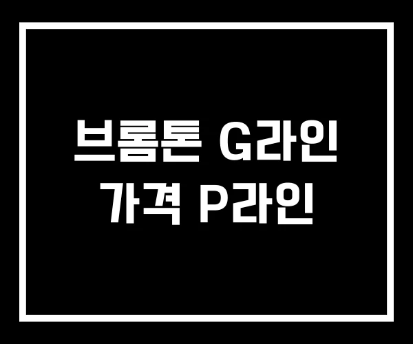 브롬톤 G라인 가격 P라인 브롬톤 G라인 가격 P라인