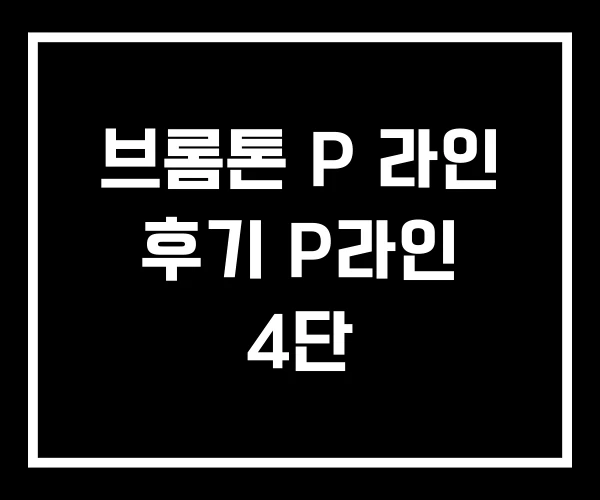 브롬톤 P 라인 후기 P라인 4단
