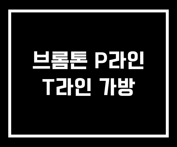 브롬톤 P라인 T라인 가방