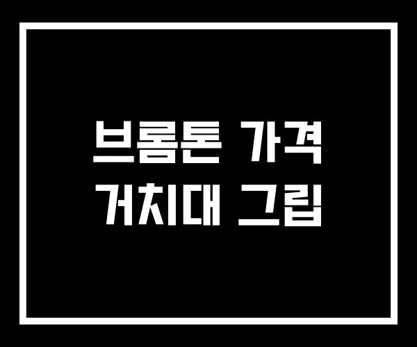 브롬톤 가격 거치대 그립
