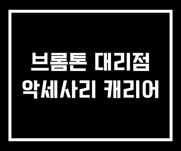 브롬톤 대리점 악세사리 캐리어