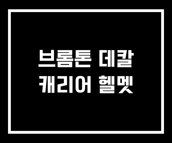 브롬톤 데칼 캐리어 헬멧