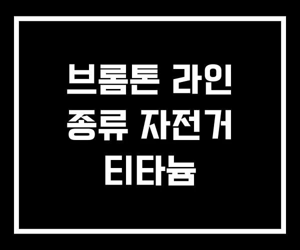 브롬톤 라인 종류 자전거 티타늄