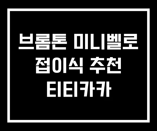 브롬톤 미니벨로 접이식 추천 티티카카 브롬톤 미니벨로 접이식 추천 티티카카
