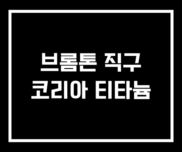 브롬톤 직구 코리아 티타늄 브롬톤 직구 코리아 티타늄