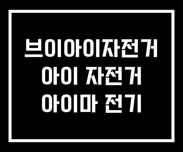 브이아이자전거 아이 자전거 아이마 전기