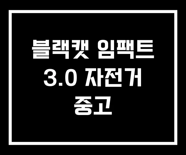 블랙캣 임팩트 3.0 자전거 중고 블랙캣 임팩트 3.0 자전거 중고