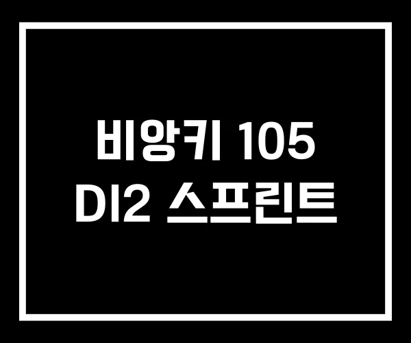 비앙키 105 DI2 스프린트