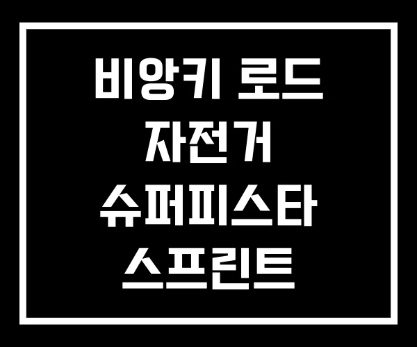 비앙키 로드 자전거 슈퍼피스타 스프린트