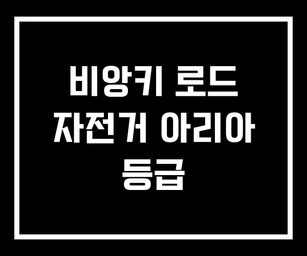비앙키 로드 자전거 아리아 등급 비앙키 로드 자전거 아리아 등급