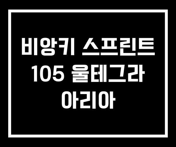 비앙키 스프린트 105 울테그라 아리아