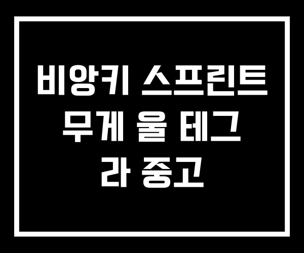 비앙키 스프린트 무게 울 테그 라 중고 비앙키 스프린트 무게 울 테그 라 중고