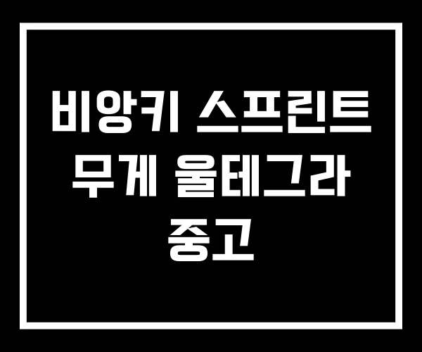 비앙키 스프린트 무게 울테그라 중고