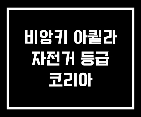 비앙키 아퀼라 자전거 등급 코리아