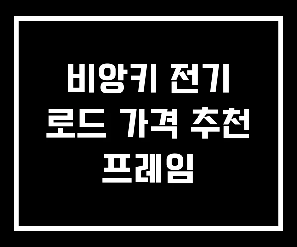 비앙키 전기 로드 가격 추천 프레임 비앙키 전기 로드 가격 추천 프레임