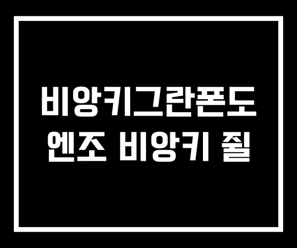 비앙키그란폰도 엔조 비앙키 쥘 비앙키그란폰도 엔조 비앙키 쥘