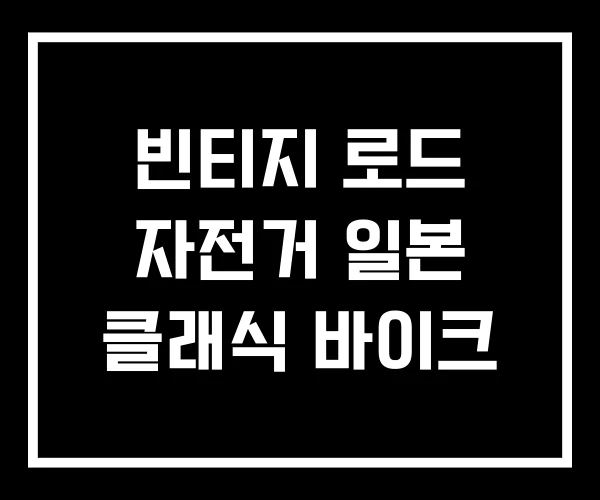 빈티지 로드 자전거 일본 클래식 바이크