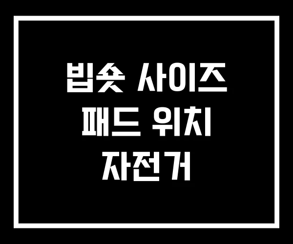 빕숏 사이즈 패드 위치 자전거