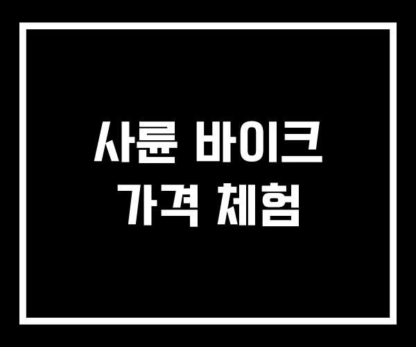 사륜 바이크 가격 체험 사륜 바이크 가격 체험