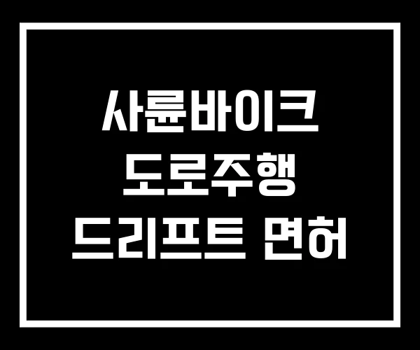 사륜바이크 도로주행 드리프트 면허 사륜바이크 도로주행 드리프트 면허