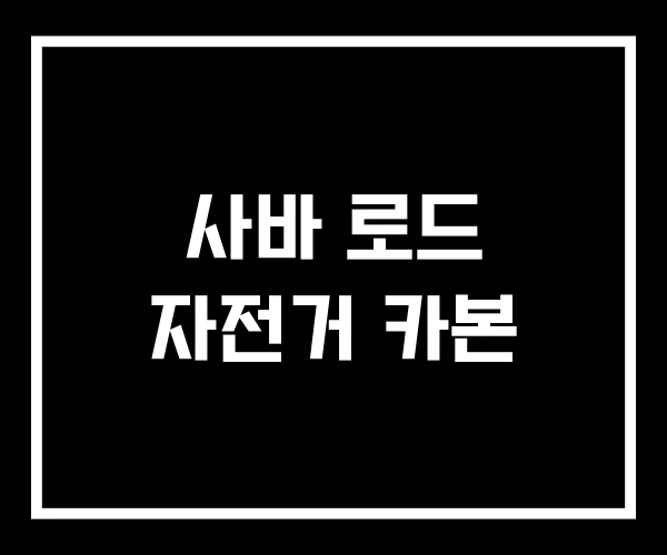 사바 로드 자전거 카본