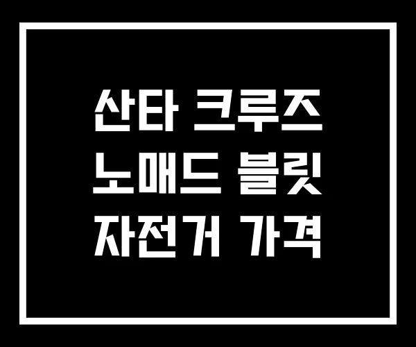 산타 크루즈 노매드 블릿 자전거 가격 산타 크루즈 노매드 블릿 자전거 가격