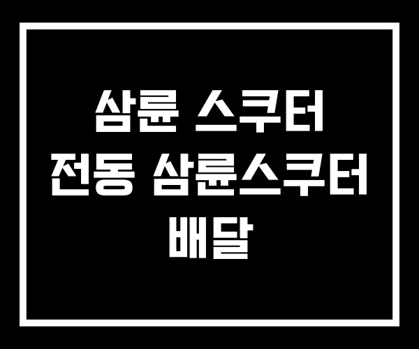 삼륜 스쿠터 전동 삼륜스쿠터 배달 삼륜 스쿠터 전동 삼륜스쿠터 배달