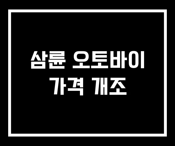 삼륜 오토바이 가격 개조 삼륜 오토바이 가격 개조