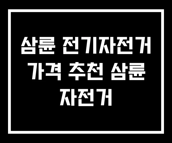 삼륜 전기자전거 가격 추천 삼륜 자전거 삼륜 전기자전거 가격 추천 삼륜 자전거