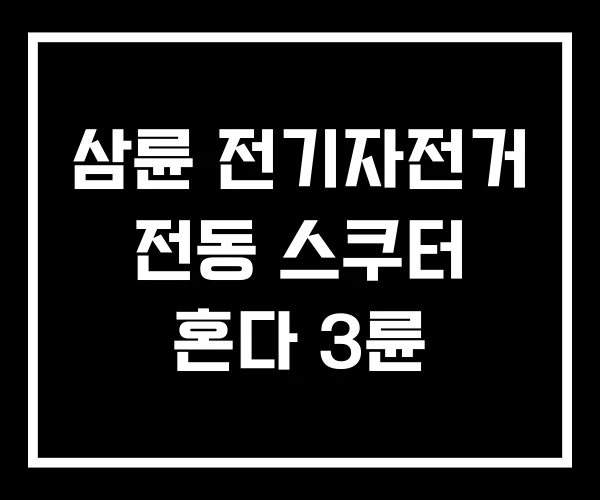 삼륜 전기자전거 전동 스쿠터 혼다 3륜