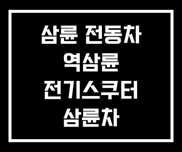 삼륜 전동차 역삼륜 전기스쿠터 삼륜차