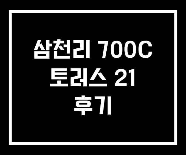 삼천리 700C 토러스 21 후기 삼천리 700C 토러스 21 후기